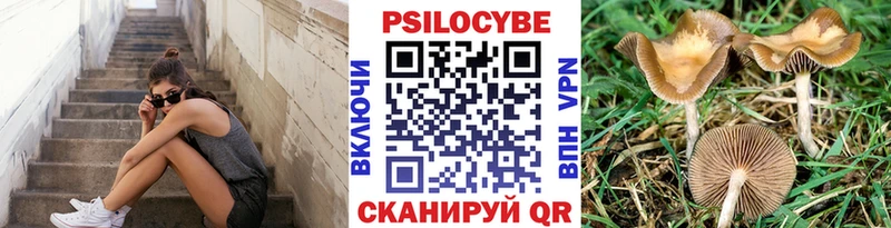 MEGA вход  купить   Туринск  Галлюциногенные грибы Magic Shrooms 